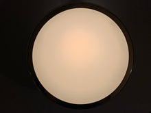 Load image into Gallery viewer, Arne Jacobsen - Munkegaards Ceiling Light - Produced In Denmark By Louis Poulsen In The 1950s - Brass & White Glass