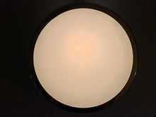 Charger l&#39;image dans la galerie, Arne Jacobsen - Munkegaards Ceiling Light - Produced In Denmark By Louis Poulsen In The 1950s - Brass &amp; White Glass
